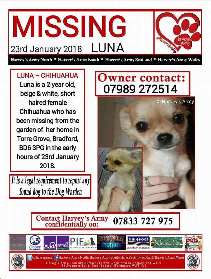 LisaLisaw1's tweet photo. Please RT #letsgetlunahome #Chihuahua #Missing 23.01.18 #Bradford #WestYorkshire #TheftByFinding #StopPetTheft #FindLuna #MissingOneYear #ChiSunday #HelpFindLuna https://t.co/VHhxlOiwjc