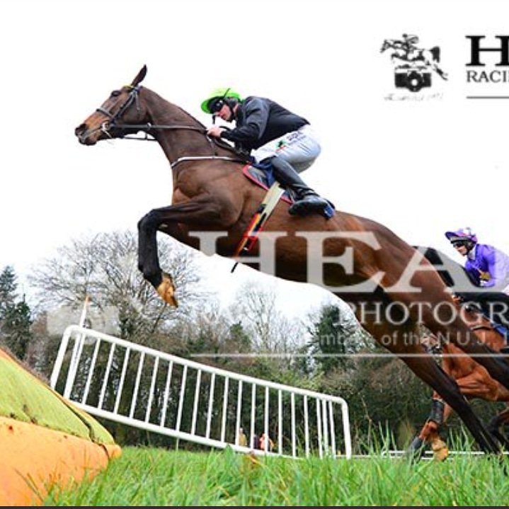 colinboweracing's tweet photo. A top class draft heading @GoffsUK #aintreesale this Thursday. Four cracking four year olds #nottobemissed #futurestars #milestonestablesgraduates #sureitis #royalcrown #cillanna #papatangocharly https://t.co/rCZ14MDpk6