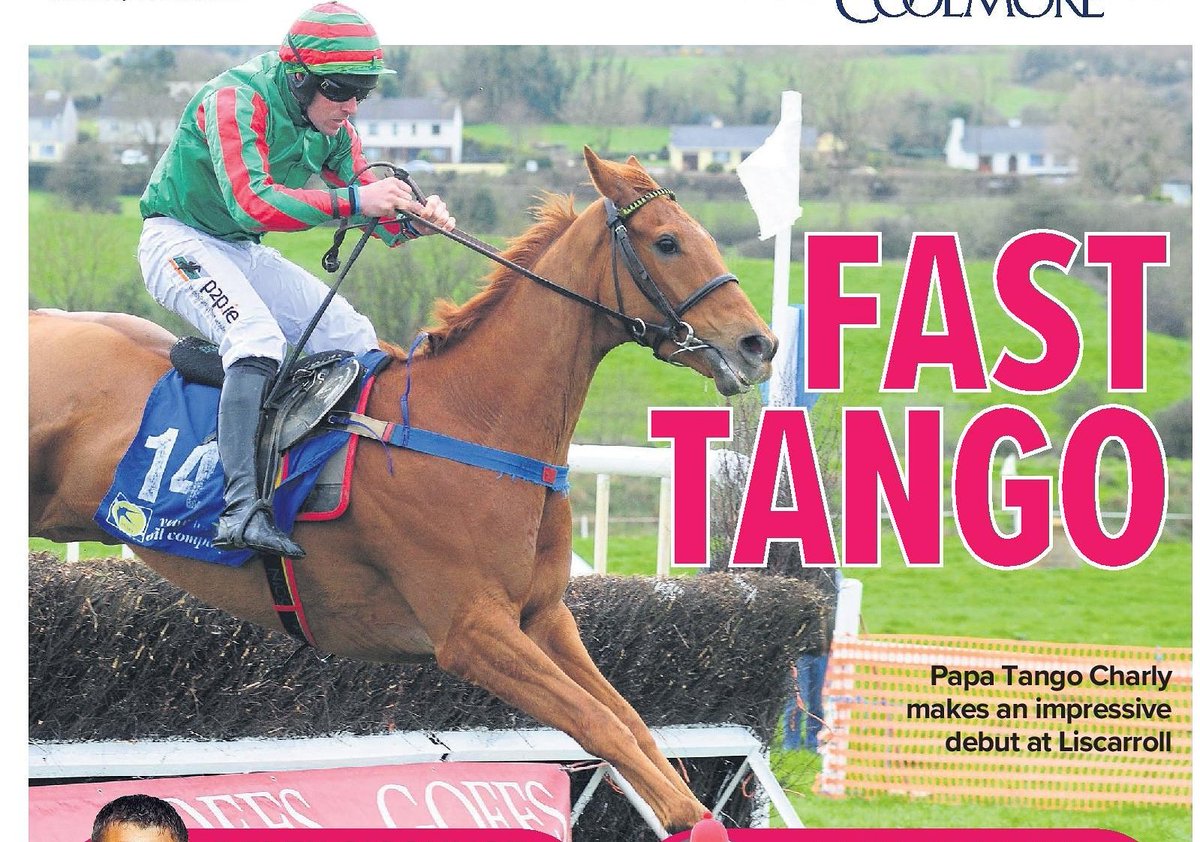 colinboweracing's tweet photo. A top class draft heading @GoffsUK #aintreesale this Thursday. Four cracking four year olds #nottobemissed #futurestars #milestonestablesgraduates #sureitis #royalcrown #cillanna #papatangocharly https://t.co/rCZ14MDpk6