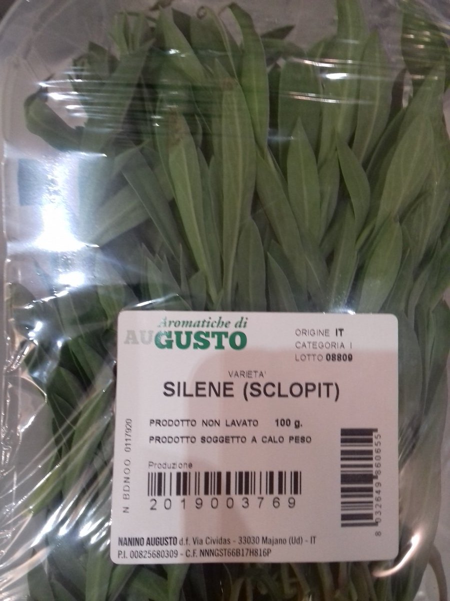 pennaribelle's tweet photo. Il #Silene o #Sclopit erba che regala quel tocco in più ai piatti #friulani.... https://t.co/aYnAKG0o9c