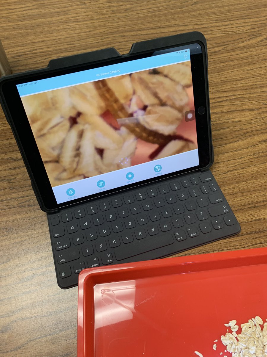 MrsMulkey5's tweet photo. Investigating #mealworms using the iGo SmartMicroscopes #theyrekindacute #waitingishard #rm418 @LISDScience @mrskimprice https://t.co/byN2zwvjv5