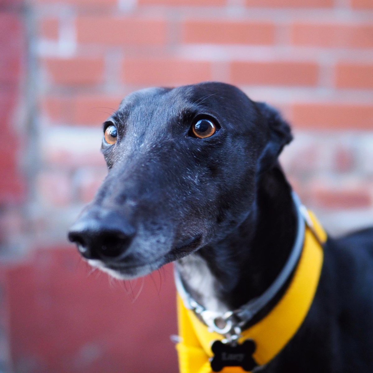 Luke 👨🏼‍🦲 tweet media