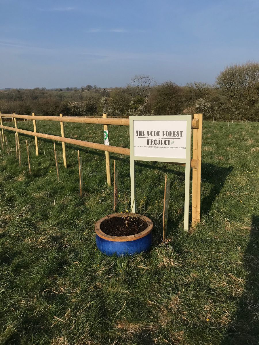 The Food Forest Project tweet media