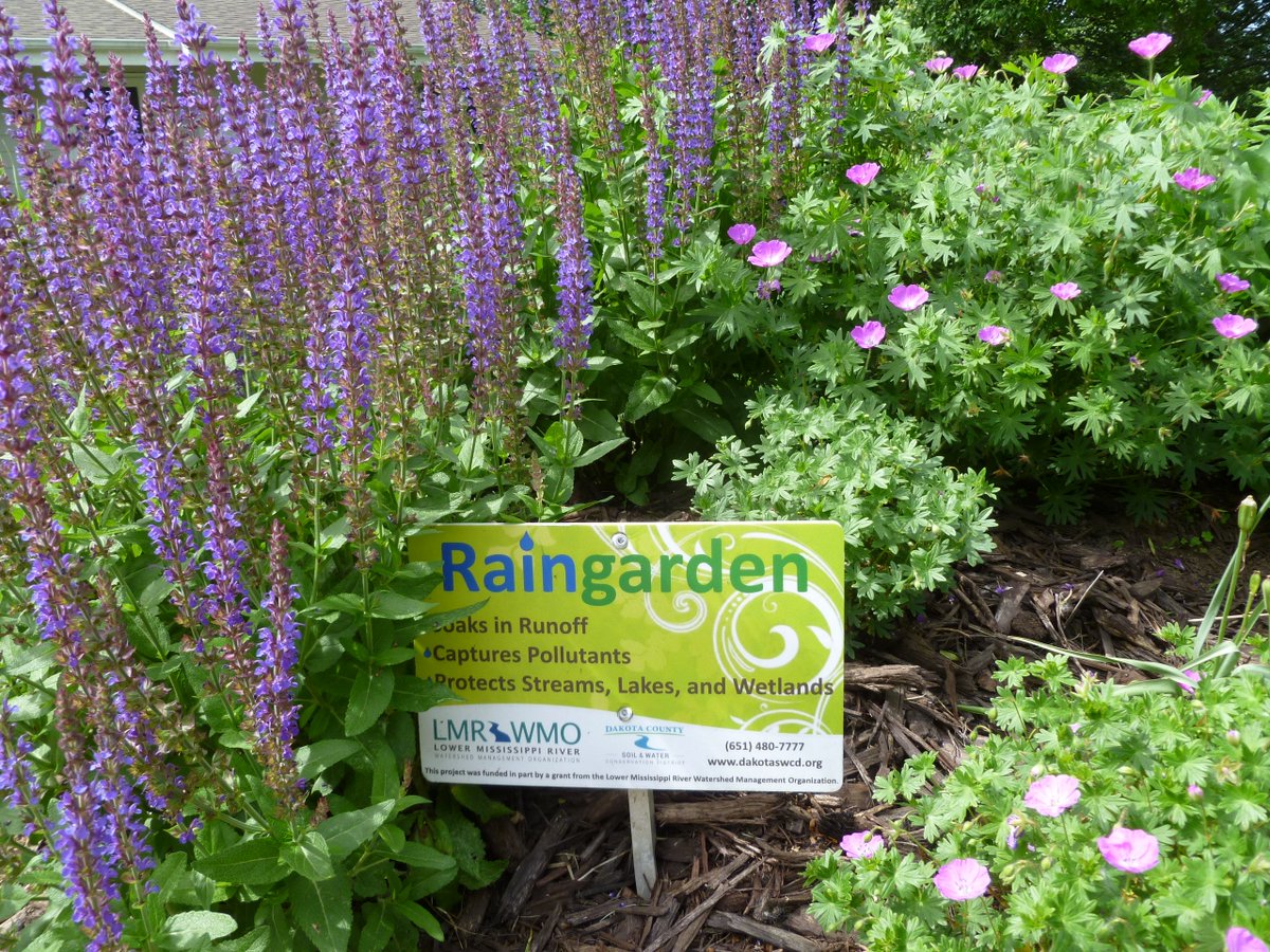 dakota_swcd's tweet photo. We have free #LandscapingforCleanWater workshops coming up next week in @CityOfLakeville and @BurnsvilleMN! Join us for a fun, hour-long class on raingardens and native plants. Pre-register at: https://t.co/ufvF9Rffjb https://t.co/lZlcsyzsVS