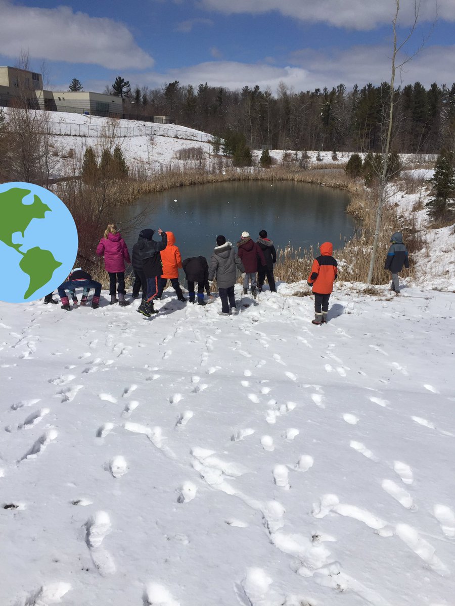 MrsWellsAMPS's tweet photo. Day 1 of the walking curriculum challenge - physics of geese in flight and some ice observations.#getoutside, #walkingcurriculum https://t.co/Du12URKirR