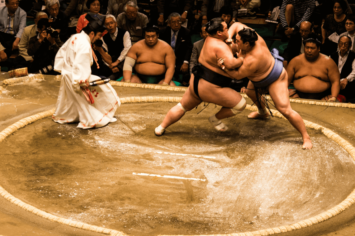 KennyButler's tweet image. Sumo wrestling is a martial art that promotes individual sumo wrestlers (known as rikishi) by performance.  Unlike other martial arts, a rikishi can also be demoted and rankings are gained or loss every two months in tournaments. A true martial arts meritocracy.