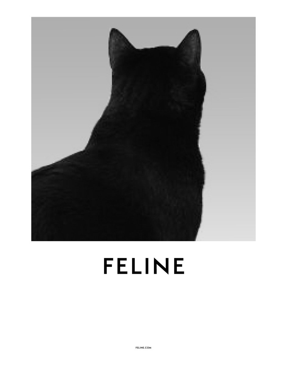 VelemStudio's tweet photo. Wally Mackerel is featured in the Spring Issue of Fantastic Cat. https://t.co/TITgY84XVP