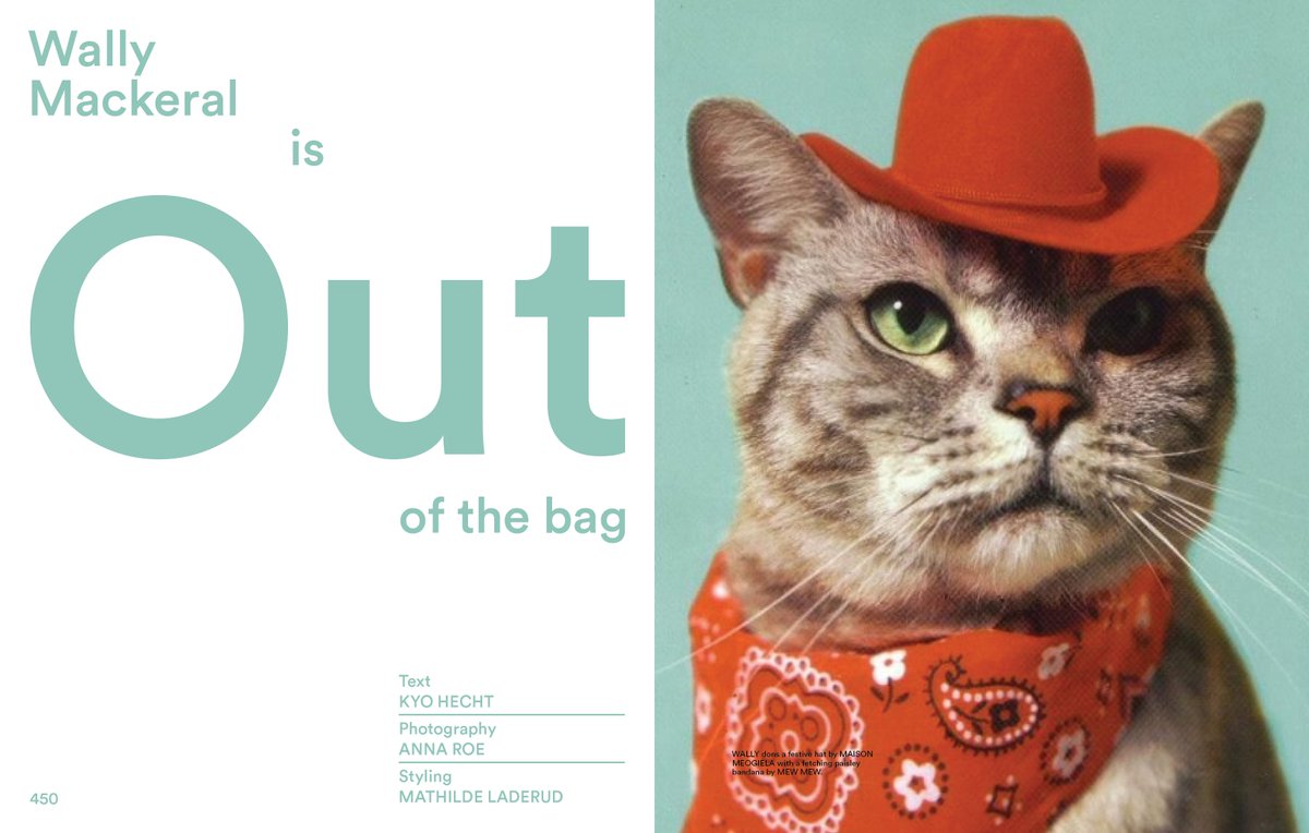 VelemStudio's tweet photo. Wally Mackerel is featured in the Spring Issue of Fantastic Cat. https://t.co/TITgY84XVP