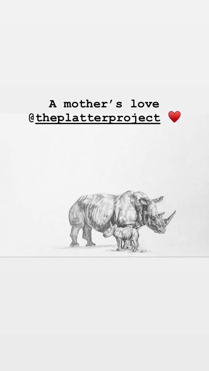 The Platter Project tweet media