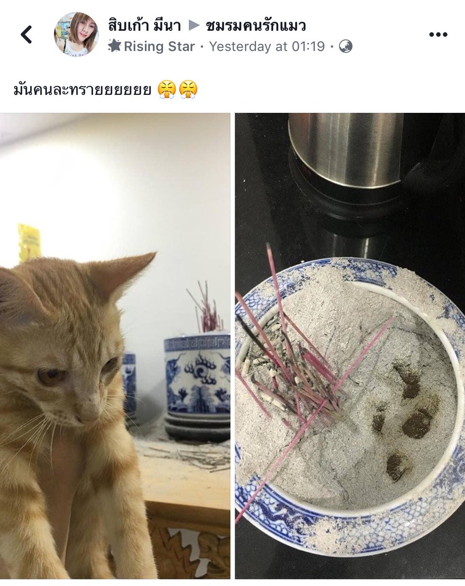 knhomphing's tweet photo. เจ้าที่ไม่ถูกใจสิ่งนี้ https://t.co/egvT7wD8up