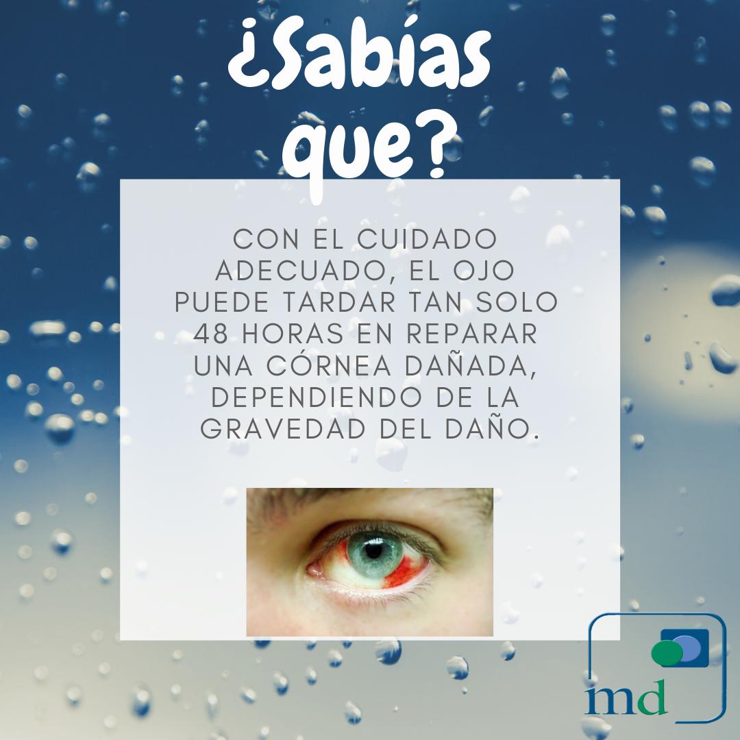 MedicalDimegar's tweet photo. #FelizLunes #follow #tips #datoscuriosos #BienvenidoAbril #oftalmologia #vision #information #eyes #oftalmology #health #DidYouKnow #takecare #doctor #tipsdesalud #healthcare #HealthTips https://t.co/fGqO2jDeHc