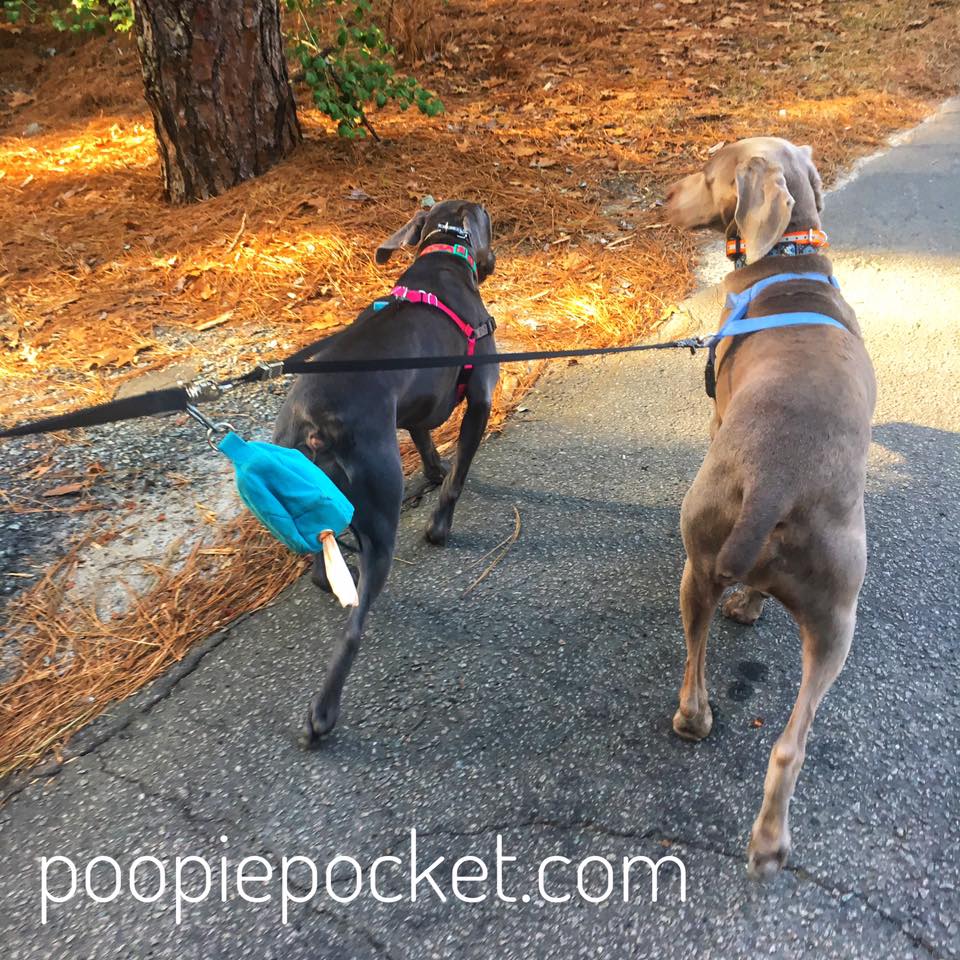 PoopiePocket's tweet photo. 2 dogs 1 pocket. The Poopie Pocket is big enough to carry the biggest loads. Get yours today at https://t.co/1bVC8HiwR7 #dogsoftwitter #poopiepocket #dogwalking #MondayMotivation https://t.co/z8q5TPQODx