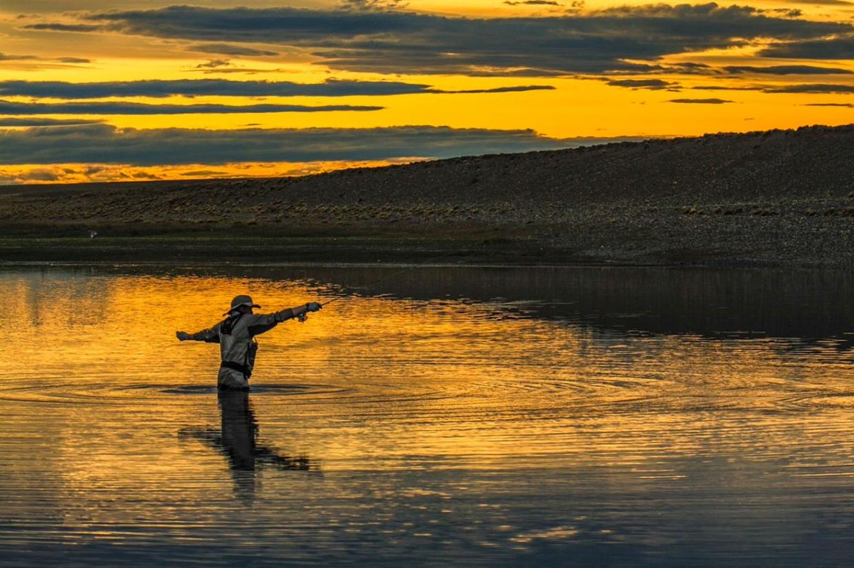 LANDED Travel tweet media