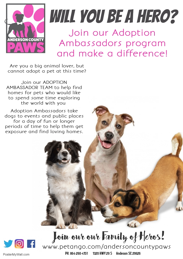 ACAS_PAWS's tweet photo. Temporary foster homes needed! Help give our pooches a break from the shelter and give them exposure to a home setting. Network your foster friend and help them find a home! Email: pawsrescue@andersoncountysc.org for more information about fostering! #AdoptAtPAWS #FosterAtPAWS https://t.co/MjdEE50bxU