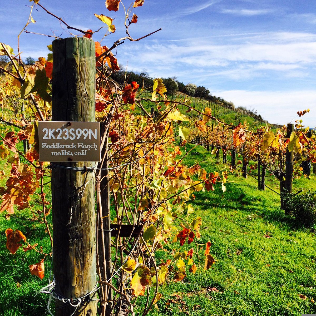 Would you like to know all the happenings at Malibu Wines?

Join our Wine Weekly: malibuwines.com/wineweekly/