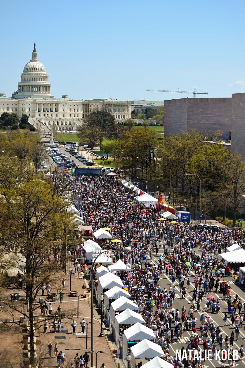 Official Sakura Matsuri - Japanese Street Festival tweet media