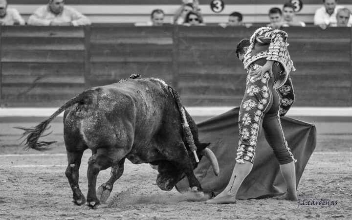 Comparto algunas fotos que nos ha pasado JL Cárdenas del indulto de JARRETERO en Illescas el 7 de octubre de 2017 con <a href="/PepeMoraltorero/">PRENSA PEPE MORAL</a>