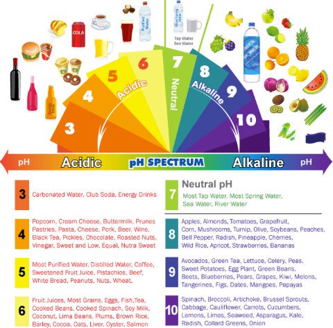 OrganicPassion3's tweet photo. Maintaining a proper pH level by eating an alkaline diet is good for your health! #veggies https://t.co/Nw95P26fB6