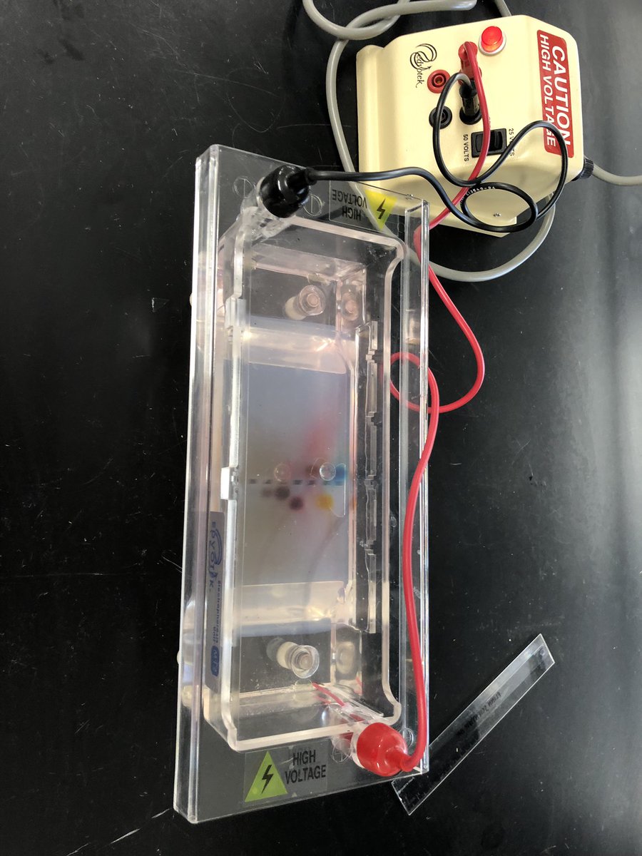 WWHS Science tweet media