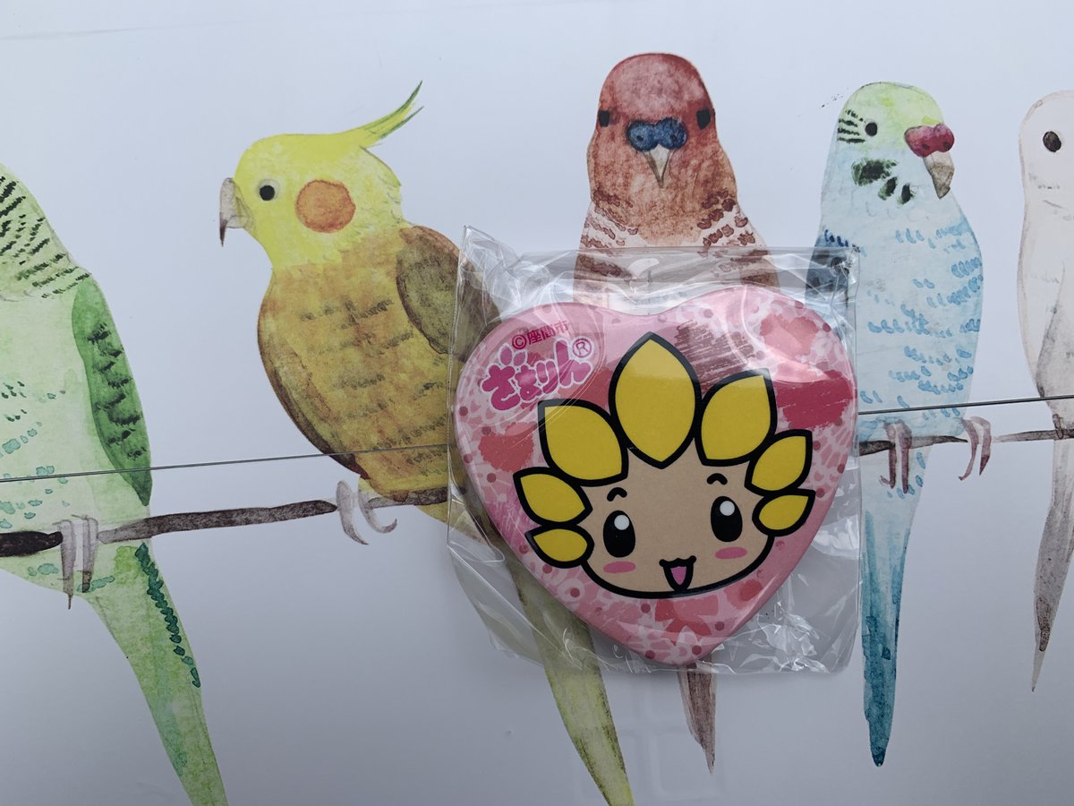 ㈱セルタン公式 tweet media