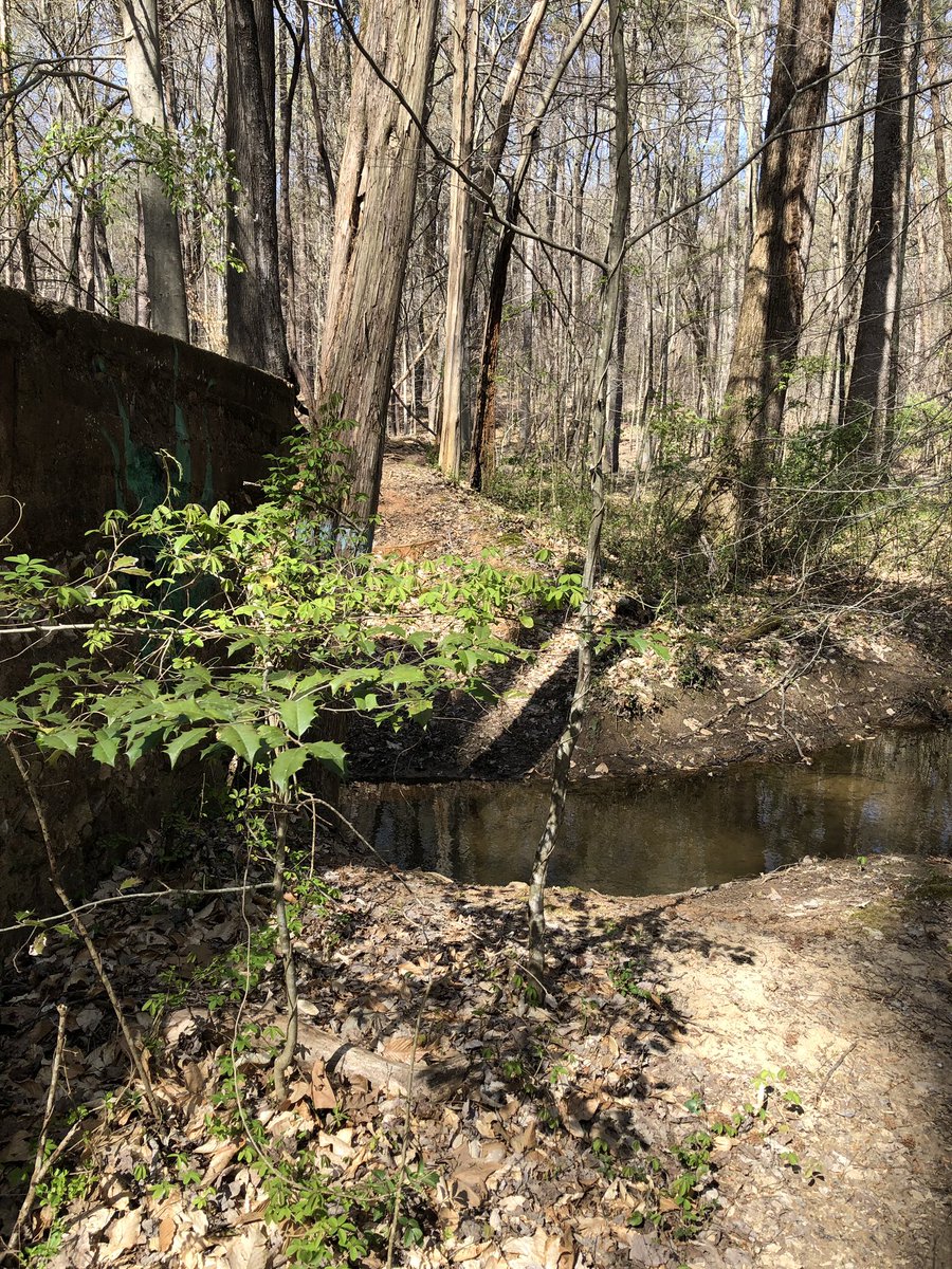 Amy Drumluk (@amydrumluk) on Twitter photo Exploring Guilford College site of the Underground Railroad <a href="/milsteinprogram/">Milstein Program in Technology & Humanity</a> Exploring Guilford College site of the Underground Railroad <a href="/milsteinprogram/">Milstein Program in Technology & Humanity</a>