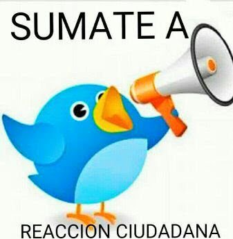 Ver imagen en Twitter