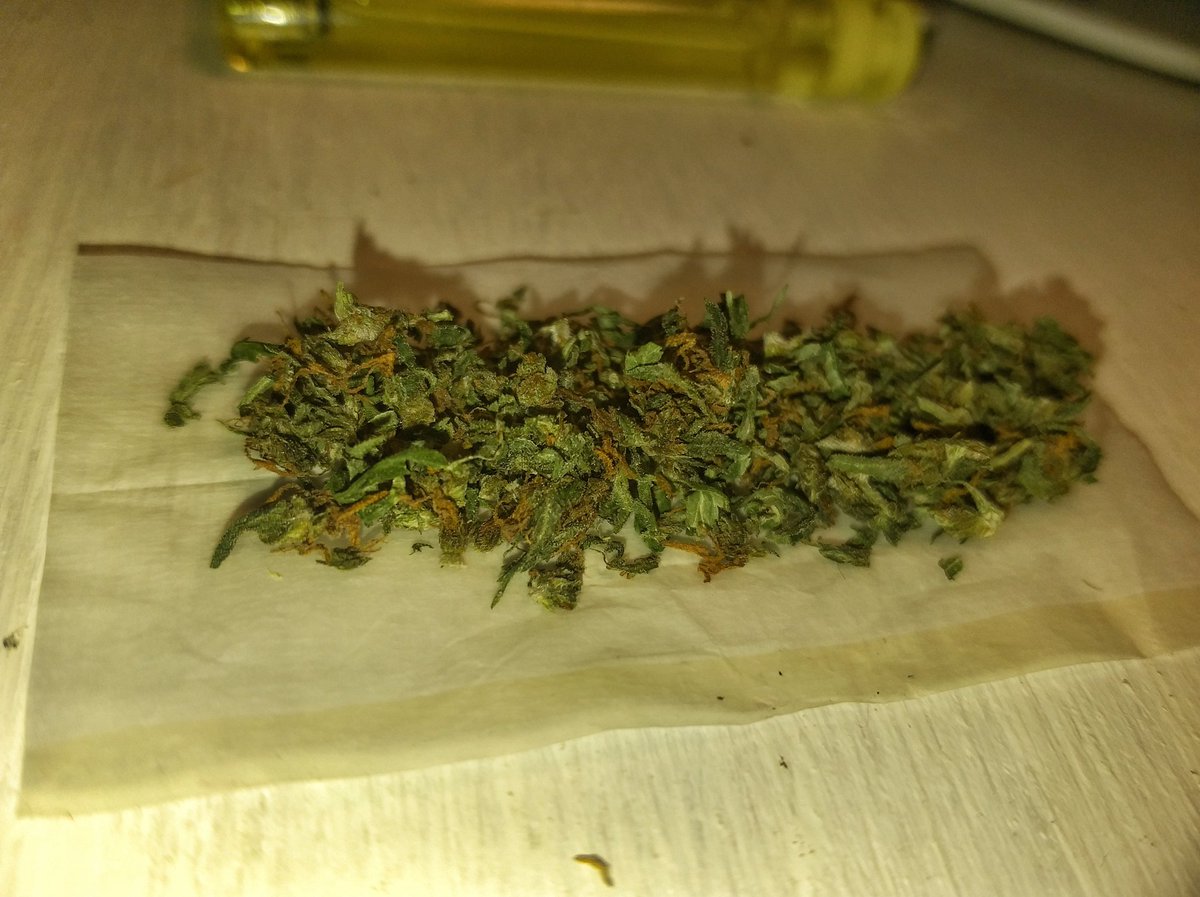 Temporada de flores, y cogollito lo sabeee