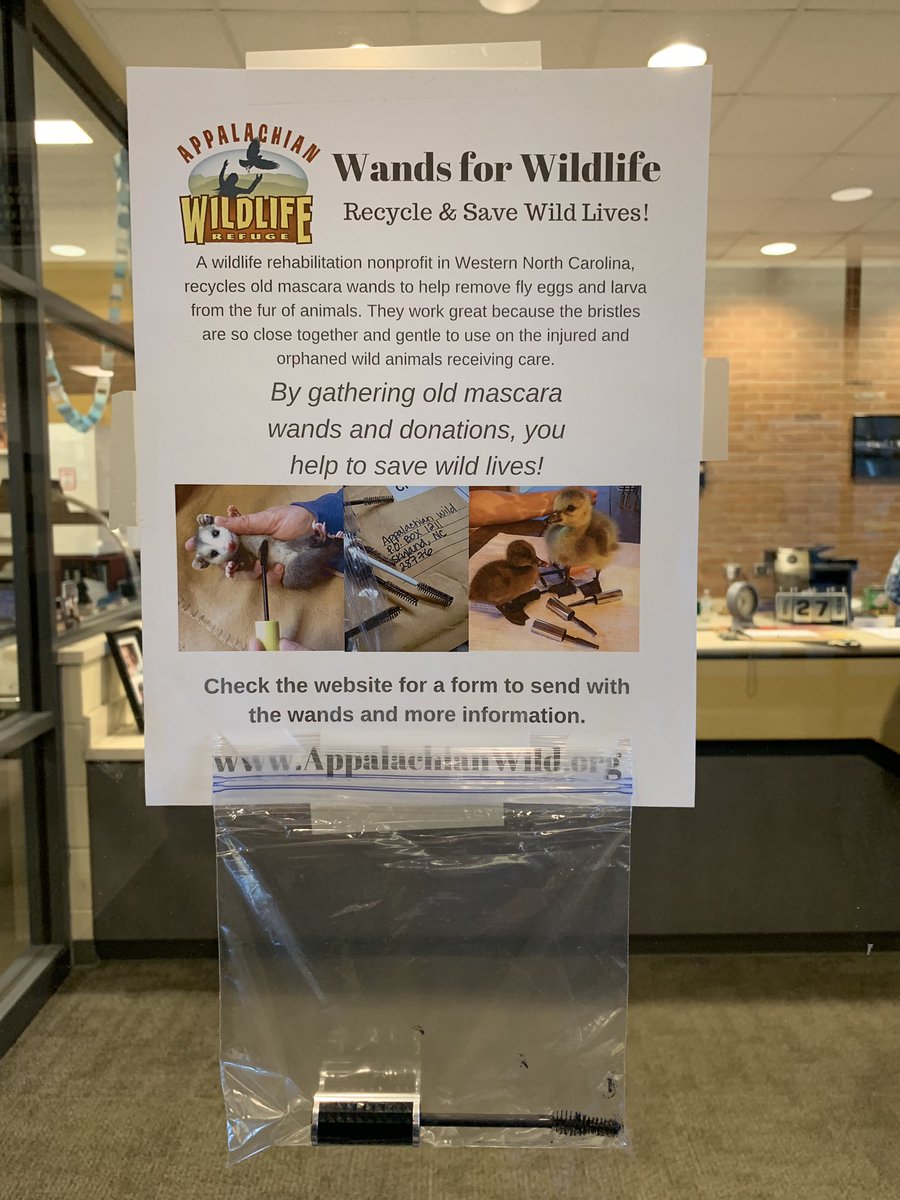 hannerpj's tweet photo. KABMS 6th grade science teacher, Mrs. Mills, is sponsoring WANDS FOR WILDLIFE! If you have any old mascara lying around and would like to donate the wand, please send it with your student to KABMS in a plastic bag and we will make certain it gets to Mrs. Mills. Thank you! https://t.co/4kjxtZ0jLi