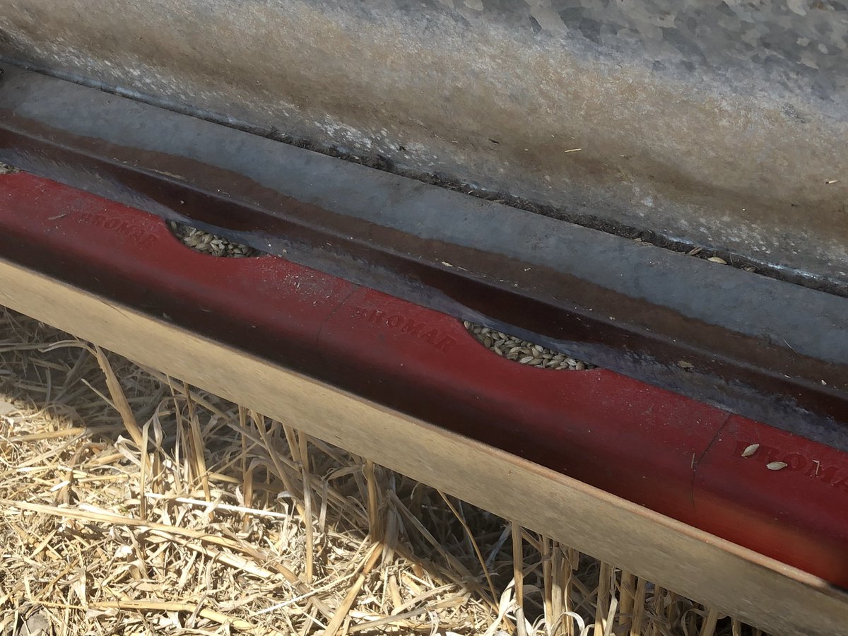 The members of my Lifetime Ewe Management group near Bordertown were comparing their lick feeders yesterday. The conversation ended up on pellets vs grain for sheep. In SA there are very few using pellets but in WA there are heaps. Why do you use what you do?