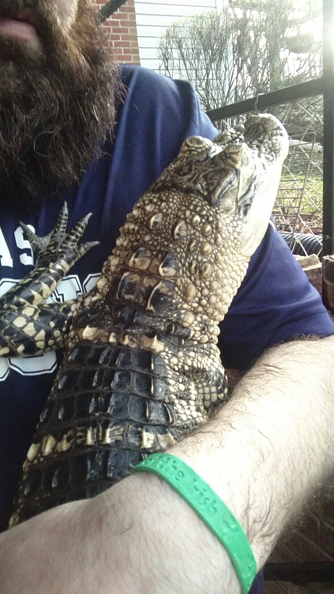 gatordood1's tweet photo. Me and dino enjoying the weather! https://t.co/jvGmpSzkGP