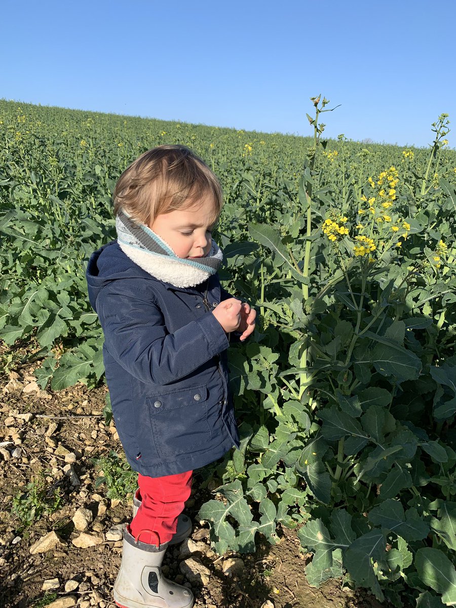 Sébastien Lemaistre tweet media