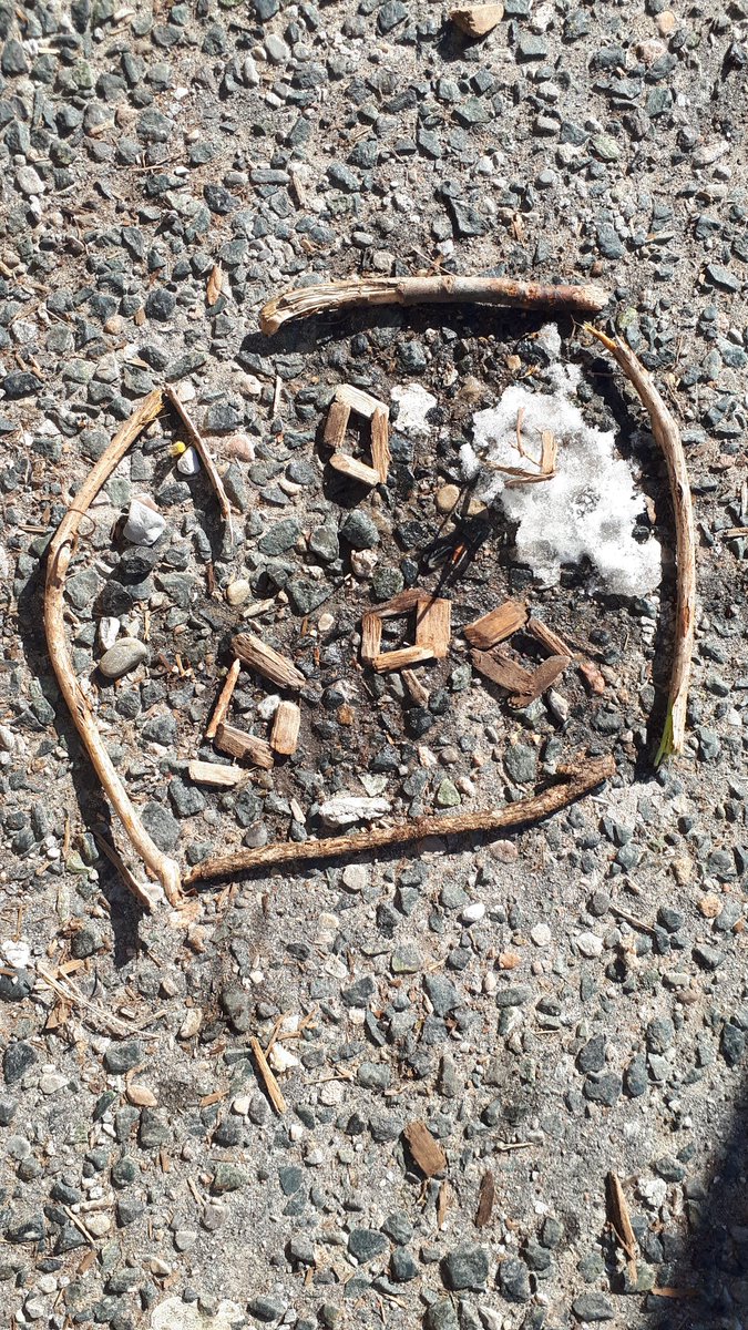seedlingstories's tweet photo. Garden Nature Maps with Mme Lepek, Ms Kingstone's and Mlle Wong's classes. Great teamwork! Mapping is a tricky skill that takes lots of practice - good job, all! @TDSB_Withrow @WithrowHandS #schoolgarden #gardeningwithkids #mapping #gardenmapping #gardenmaps https://t.co/AX0zXU9RkG