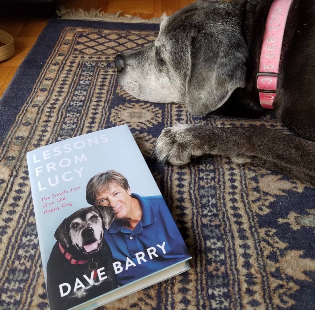 AdoptMiamiPets's tweet photo. We can't wait for tonight! We will be joining, @RayAdverb, @BooksandBooks, and @FoMAPets for an evening of laughs & woofs in Coral Gables! Our #ASDPets will also be there in hopes of finding their fur-ever homes! Thank you again #DaveBarry! #LessonsFromLucy https://t.co/HHVWZAfoRO