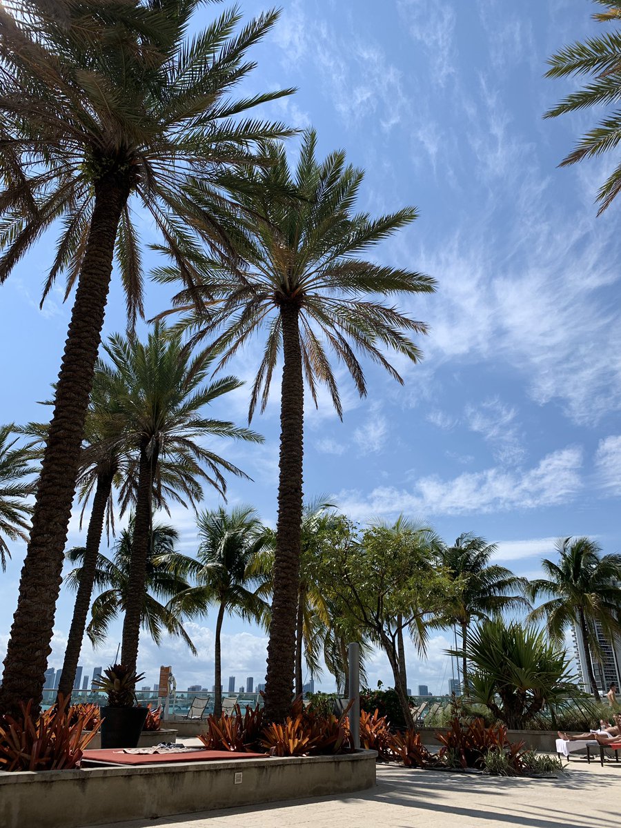 Benson Willis tweet media