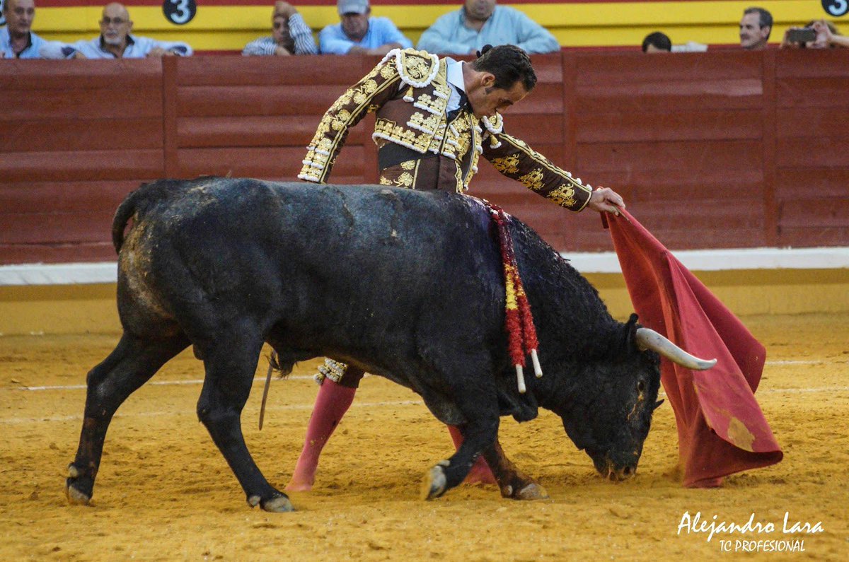 lara_ripiero's tweet photo. @victorinotoros @noeee_cp @PepeMoraltorero Cómo humilló.....
¡Gran toro! https://t.co/k8gCHWqssI