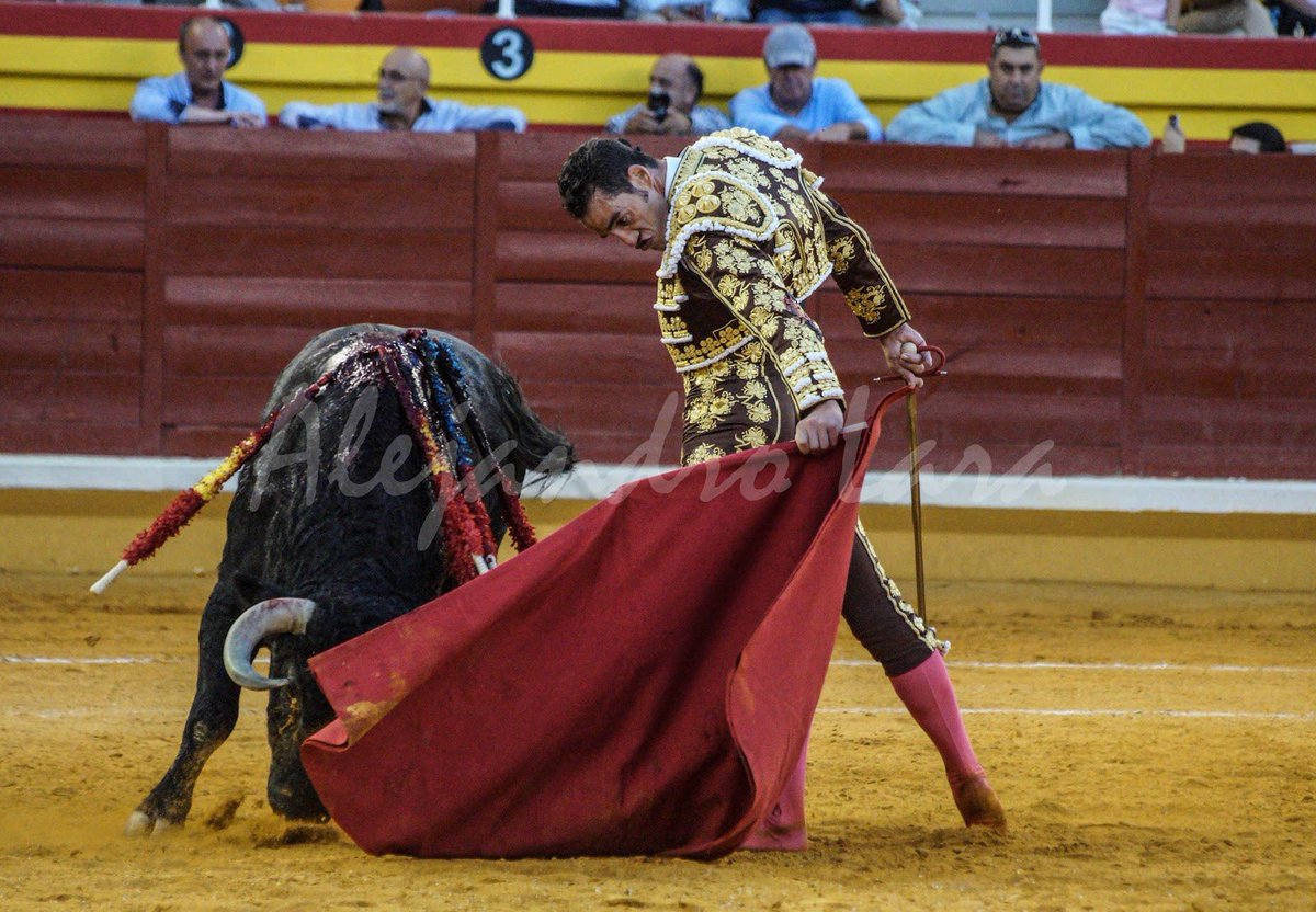 <a href="/victorinotoros/">Victorino Martin</a> @noeee_cp <a href="/PepeMoraltorero/">PRENSA PEPE MORAL</a> Cómo humilló.....
¡Gran toro!