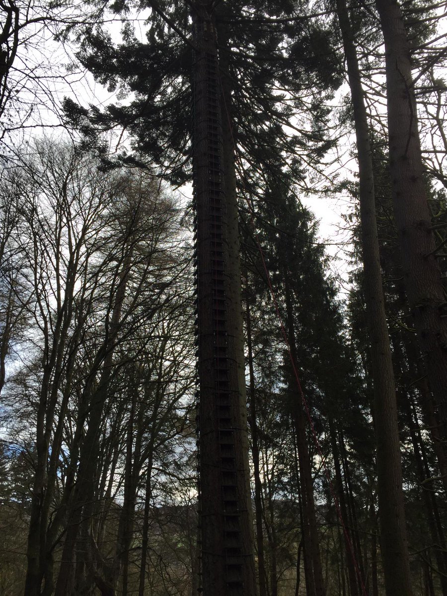 CAB Blackburn tweet media