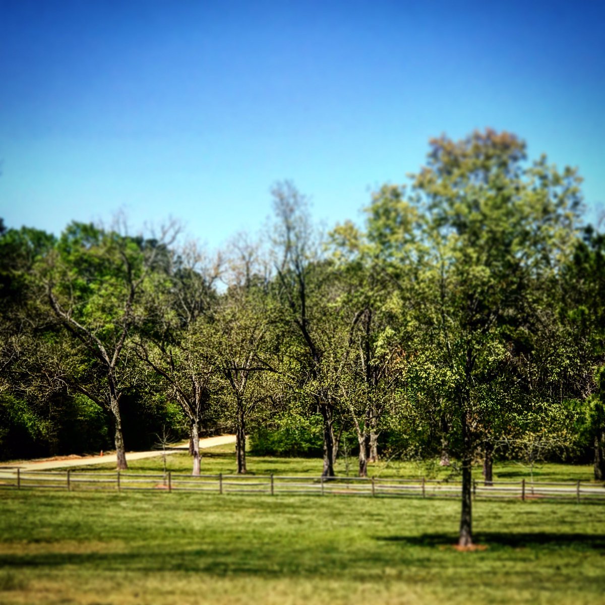 MaconBibbCounty's tweet photo. Amerson River Park needs your help to be named best park in the country. It’s easy! Vote here (https://t.co/WUlY89lZNS) &amp; then post pics of the Park to INSTAGRAM with the hashtag #ELGLKnope. Don’t have IG? Message us the pics, and we’ll post for you! https://t.co/JBKrHG9las