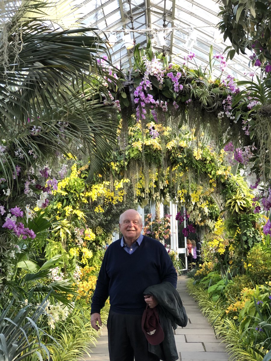 Peter Johnson On Twitter The New Orchid Show At York Peter Johnson On Twitter The New