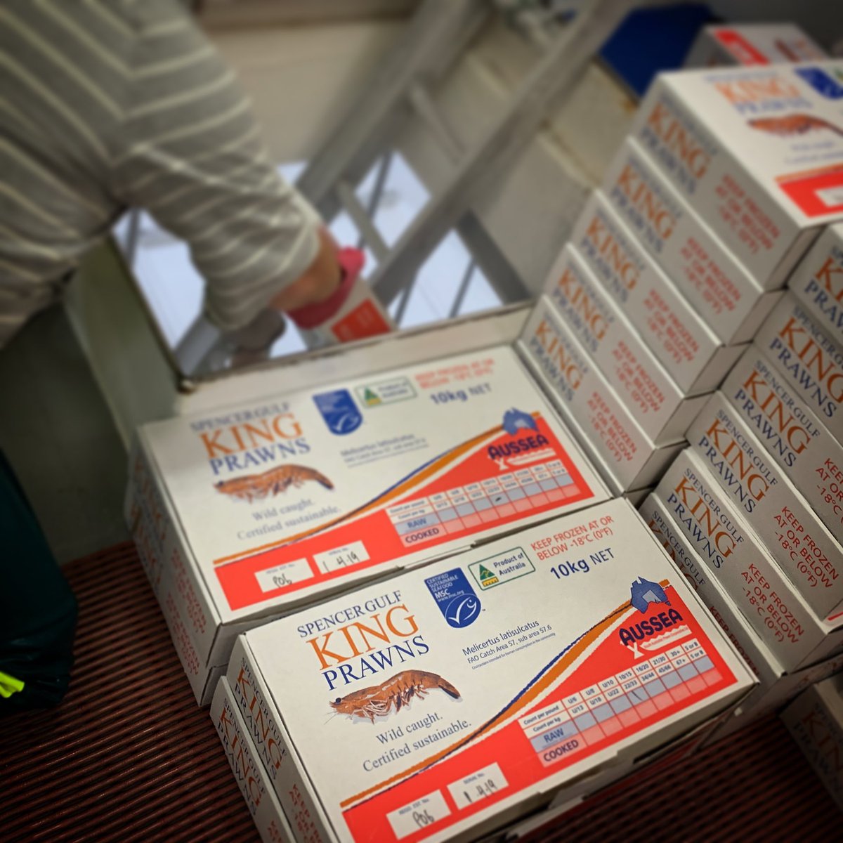 Back to work, chasing <a href="/SGkingprawns/">SpncrGulf KingPrawns</a> for @SAprawncoop