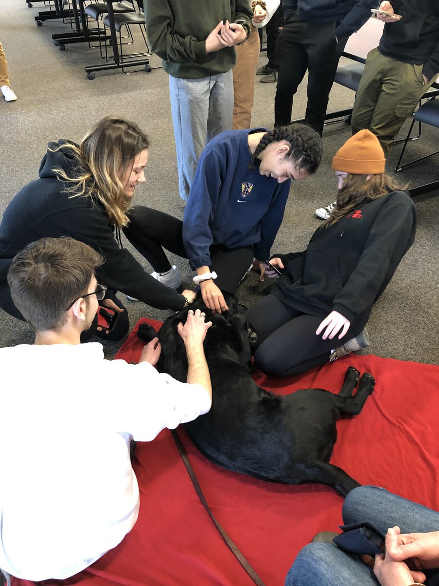 noahbgentner's tweet photo. Not sure who enjoyed Stress Management class today more...@guelphhumber students or @TherapeuticPaws visitor Mac. As we approach finals please remember to find activities that recharge you and limit stress. @HumberHRT https://t.co/zgNCiGlJul