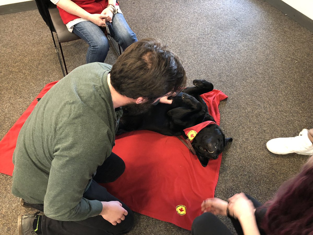 noahbgentner's tweet photo. Not sure who enjoyed Stress Management class today more...@guelphhumber students or @TherapeuticPaws visitor Mac. As we approach finals please remember to find activities that recharge you and limit stress. @HumberHRT https://t.co/zgNCiGlJul
