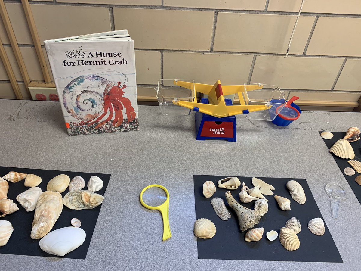 Mrs_Dahlin's tweet photo. This week we are studying the wonderful @ericcarle! Here are a few #tinkertrays and centers inspired by his literature! Students work to create a new insect, build a home for a rooster, and investigate items from the sea! #handsonlearning #MyOhioClassroom https://t.co/PEHrSoCwXb