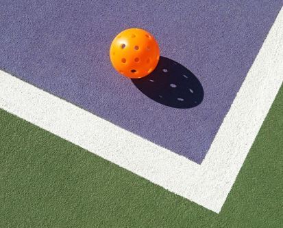 April is National Pickleball Month salidarec.com/april-is-natio…