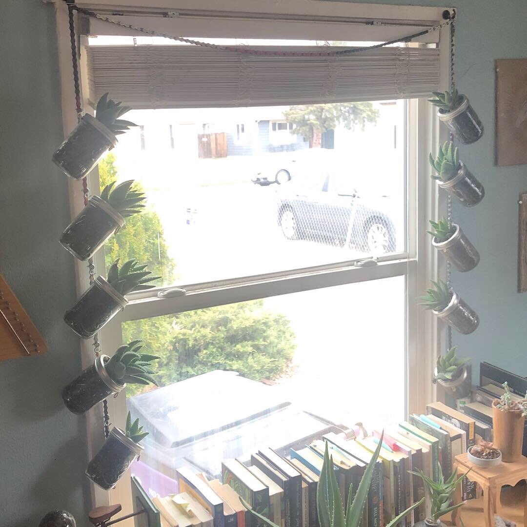 I found myself a little fun over spring break.

I’ve read that aloe is really great for air purification. I’ve always wanted to hang a window with a bunch of them for that reason.