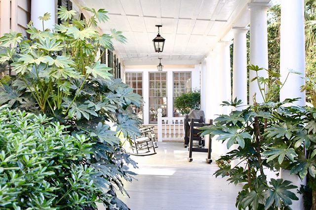abitofchs's tweet photo. MAJOR porch goals 🌿

#abitofcharleston #charleston #explorecharleston #chs #porchgoals #porchesofcharleston #springhassprung #spring #southernliving #slpicks #cntraveler #tlpicks #pursuepretty #flashesofdelight #traveldeeper #housebeautiful #homeandgarden https://t.co/wPjkOv1AOE