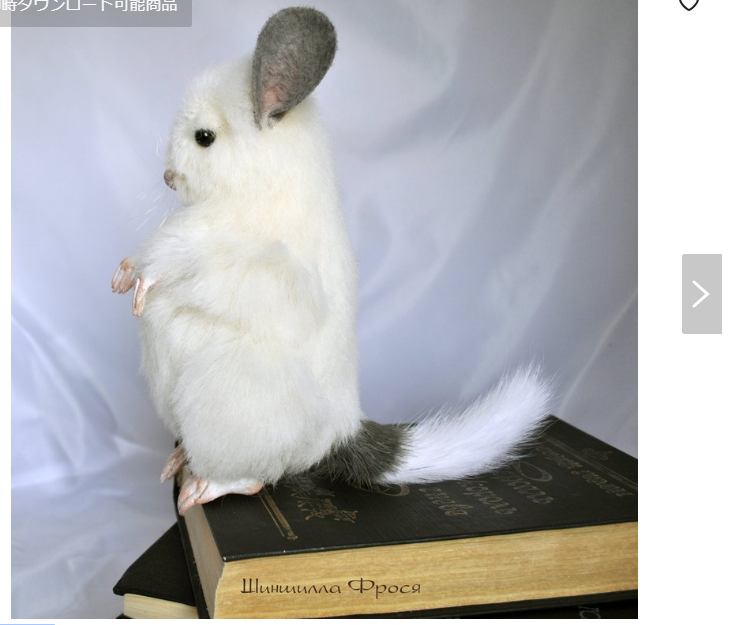 ハルノ 左右同じ型紙か って信じられないけどうちもちょうど同じ現象が Twitter