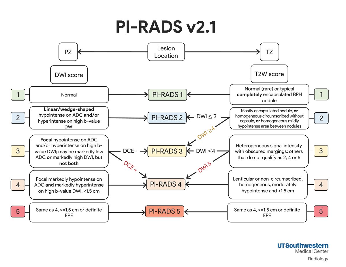 Pi rads классификация Pi rads классификация