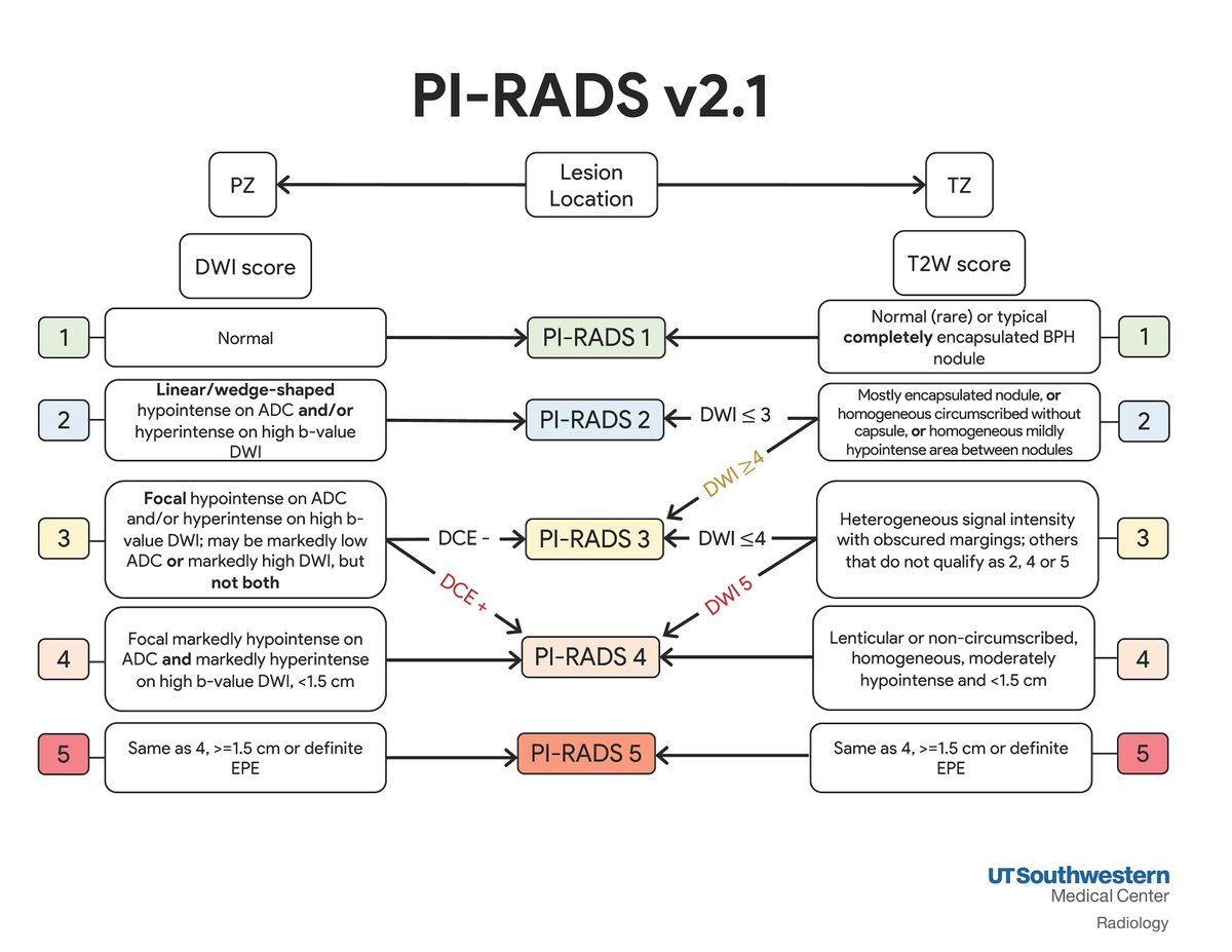 Pi rads 5