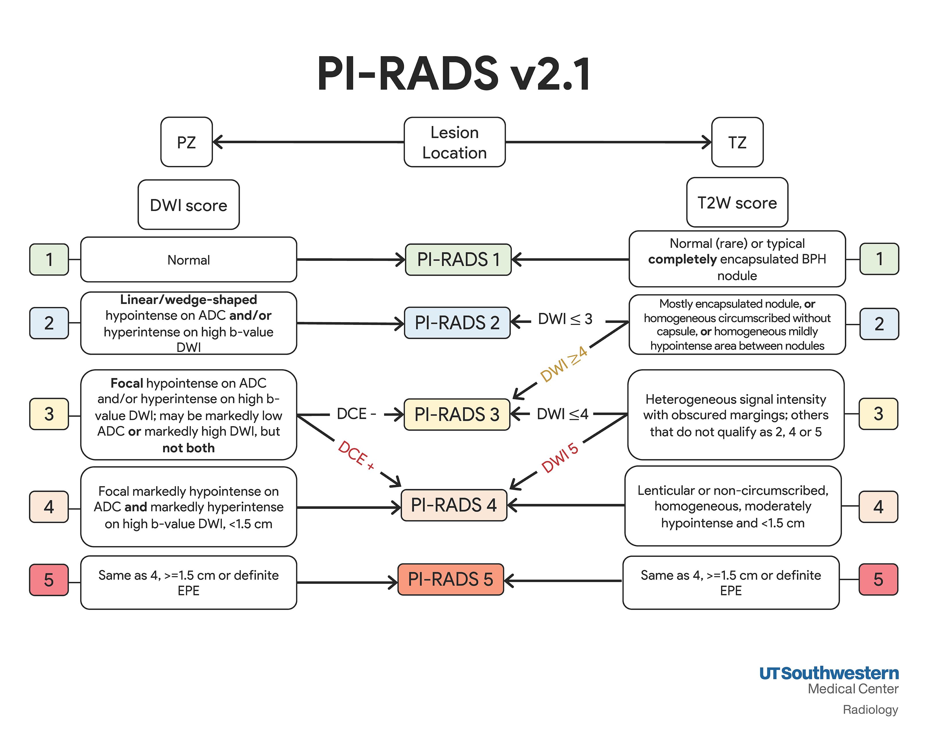 Ti rads что это значит. Pi-rads v2.1. Pi rads 2.1. Pi-rads 2.1 5 категория. Pi-rads классификация.